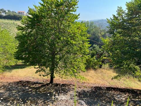 Propriedade de Luxo junto ao Rio Tâmega | Santo Isidoro – Marco de Canaveses