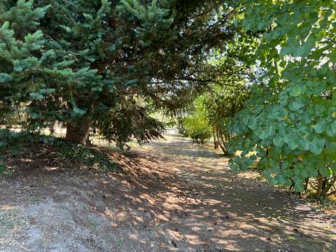 Propriedade de Luxo junto ao Rio Tâmega | Santo Isidoro – Marco de Canaveses