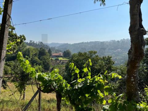 Propriedade de Luxo junto ao Rio Tâmega | Santo Isidoro – Marco de Canaveses