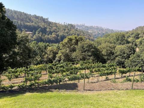 Propriedade de Luxo junto ao Rio Tâmega | Santo Isidoro – Marco de Canaveses