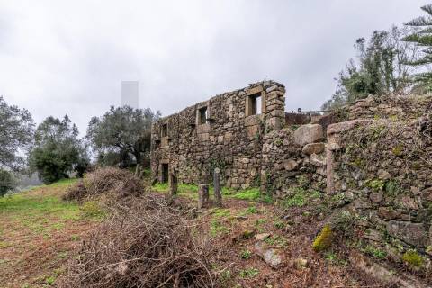 Ruínas com terreno em São Lourenço da Montaria, junto às cascatas do Rio Âncora