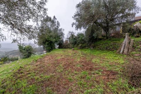 Ruínas com terreno em São Lourenço da Montaria, junto às cascatas do Rio Âncora