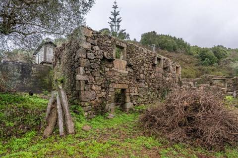 Ruínas com terreno em São Lourenço da Montaria, junto às cascatas do Rio Âncora