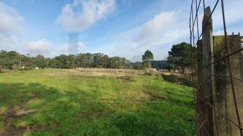 Moradia T4 - Usada + Terreno 19.176 m2 - S. Cruz do Bispo