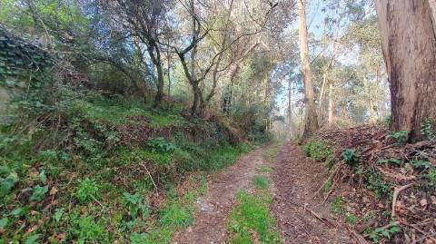 Moradia T4 - Usada + Terreno 19.176 m2 - S. Cruz do Bispo