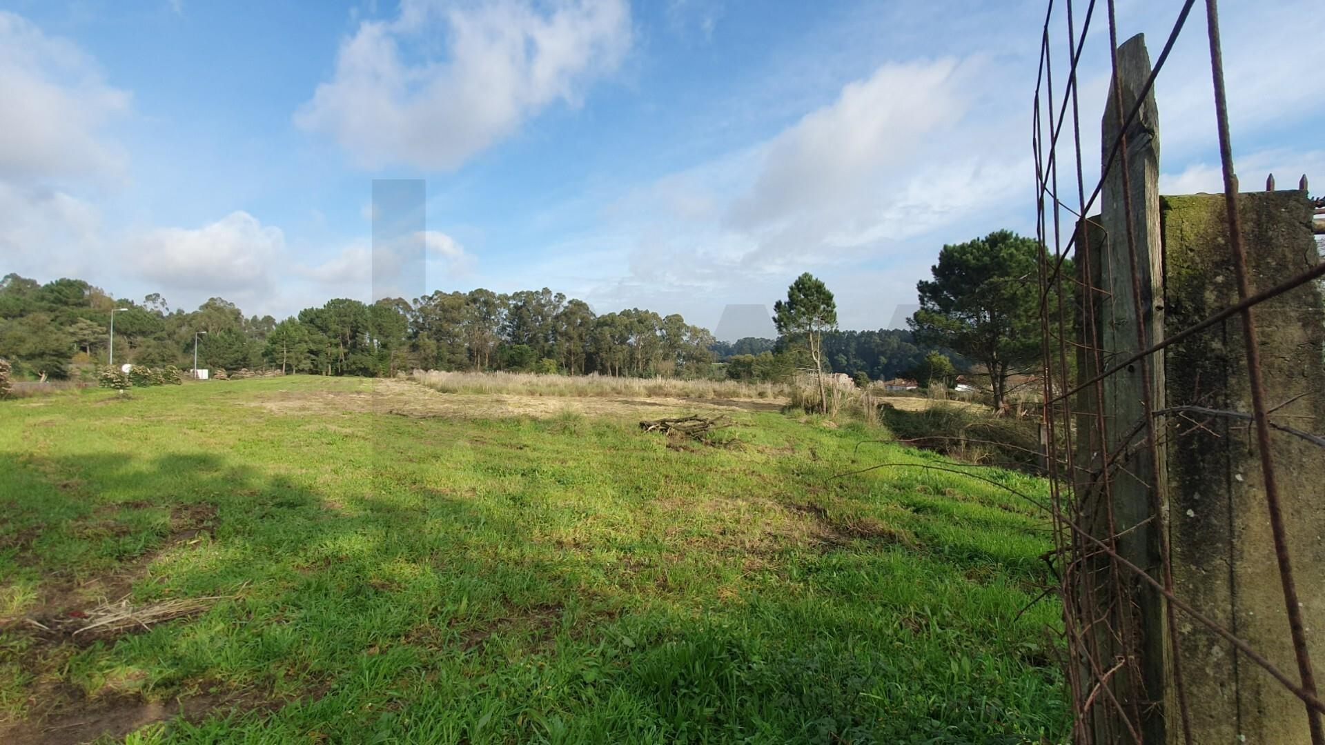 🌳 Terreno rústico - 19.176 m2 em S. Cruz do Bispo - Matosinhos