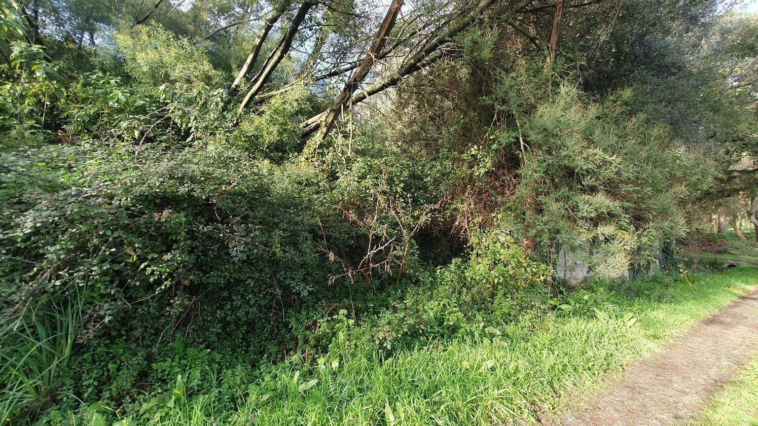 🌳 Terreno rústico - 19.176 m2 em S. Cruz do Bispo - Matosinhos