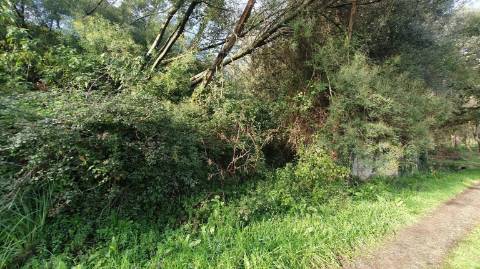 🌳 Terreno rústico - 19.176 m2 em S. Cruz do Bispo - Matosinhos