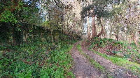 🌳 Terreno rústico - 19.176 m2 em S. Cruz do Bispo - Matosinhos