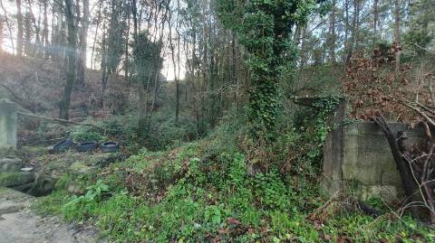 🌳 Terreno rústico - 19.176 m2 em S. Cruz do Bispo - Matosinhos