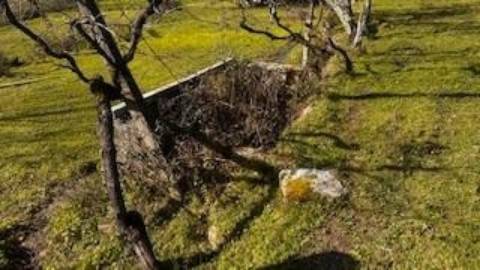 “Projeto Versátil: Comércio ou Habitação/Turismo | Obra Total | Baião”