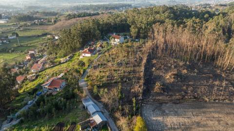 Terreno com 5.445 m² e PIP aprovado para construção de duas moradias na Facha, Ponte de Lima