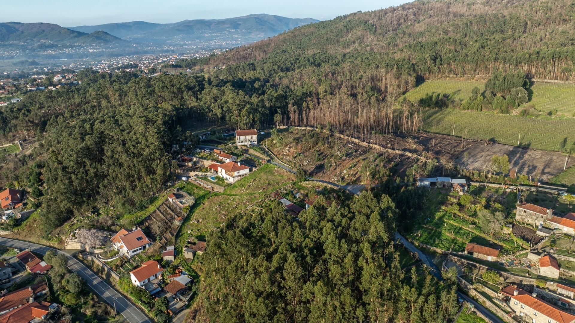 Terreno com 2.815 m² e PIP aprovado para construção de moradia na Facha, Ponte de Lima