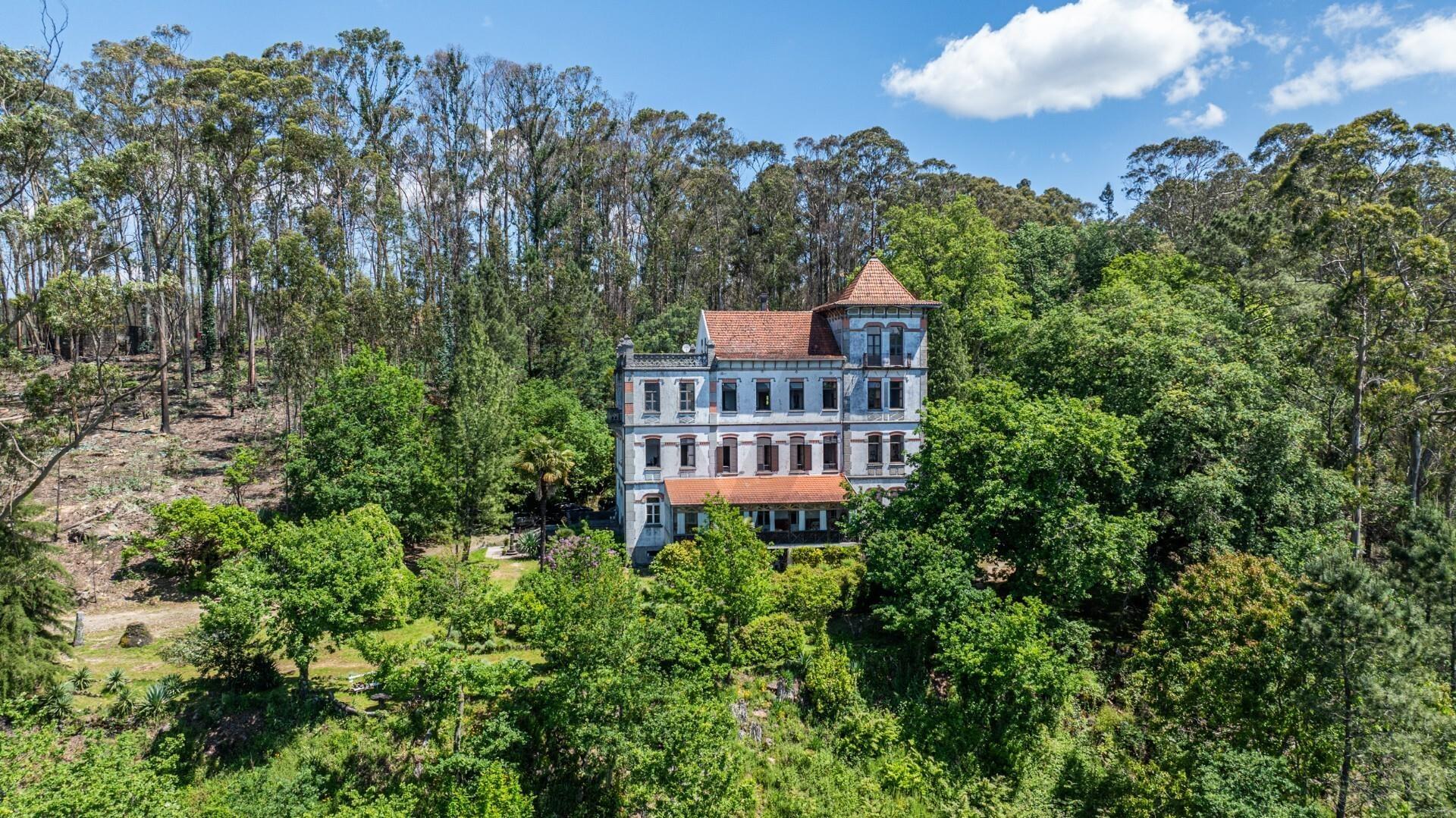 Quinta com Palacete e terreno de 50 ha em Seixoso - Felgueiras