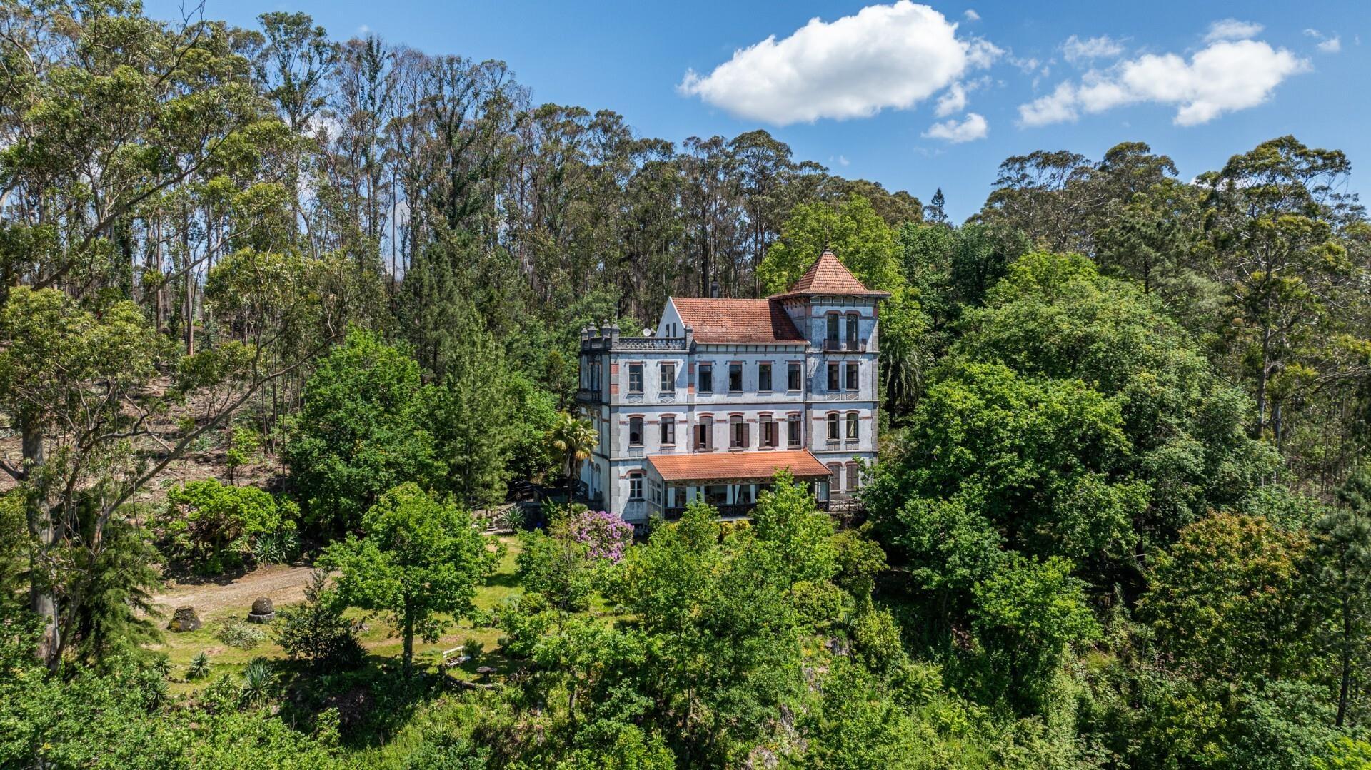 Quinta com Palacete e terreno de 50 ha em Seixoso - Felgueiras