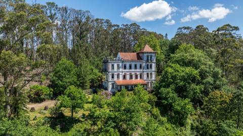 Quinta com Palacete e terreno de 50 ha em Seixoso - Felgueiras