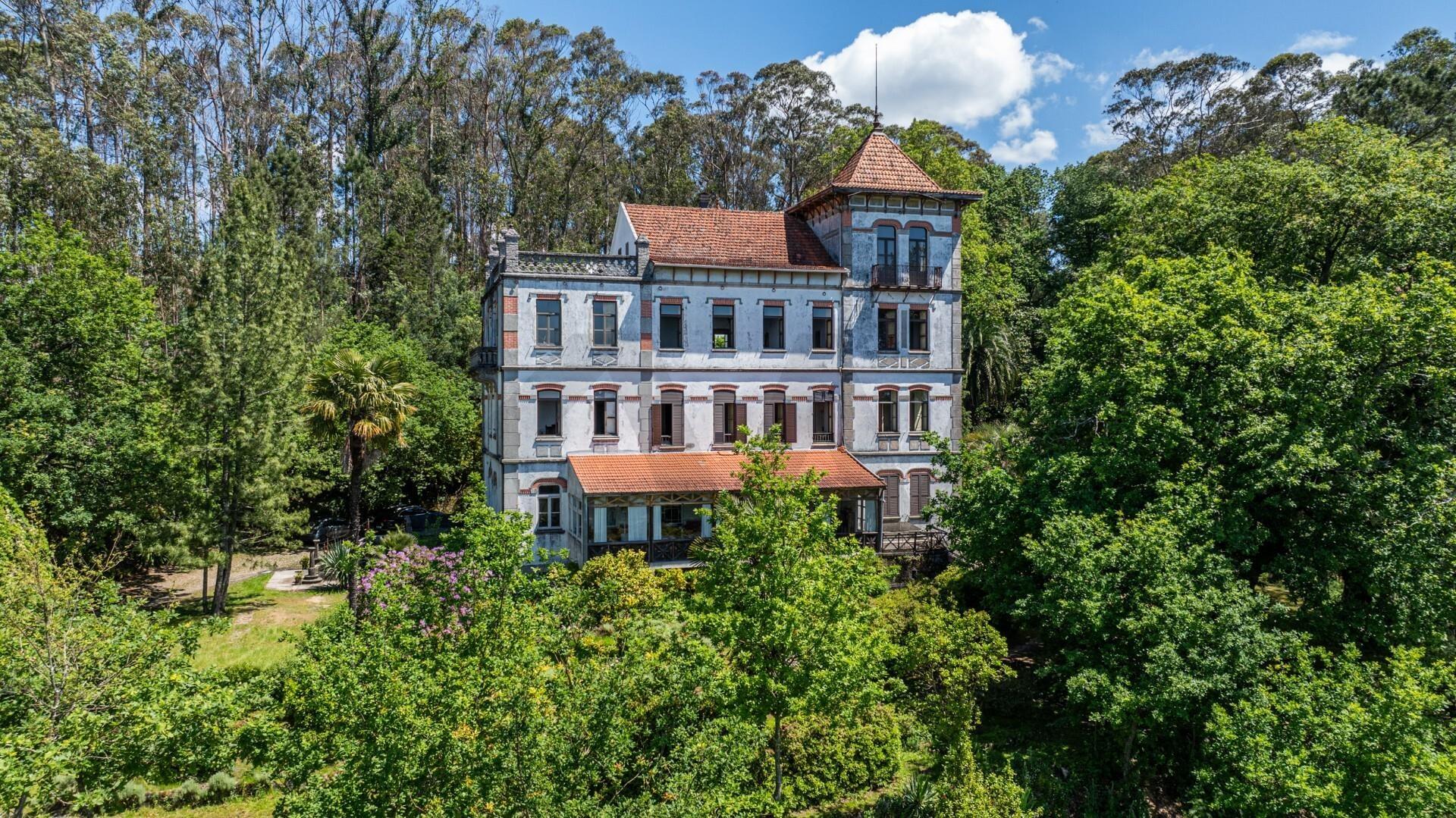 Quinta com Palacete e terreno de 50 ha em Seixoso - Felgueiras