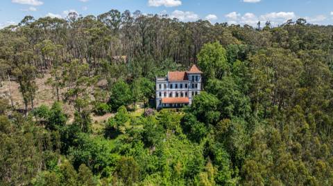 Quinta com Palacete e terreno de 50 ha em Seixoso - Felgueiras