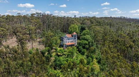 Quinta com Palacete e terreno de 50 ha em Seixoso - Felgueiras