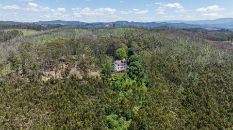 Quinta com Palacete e terreno de 50 ha em Seixoso - Felgueiras