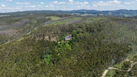 Quinta com Palacete e terreno de 50 ha em Seixoso - Felgueiras