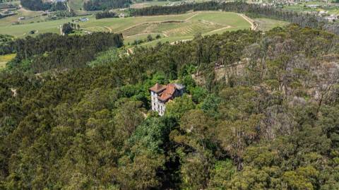 Quinta com Palacete e terreno de 50 ha em Seixoso - Felgueiras