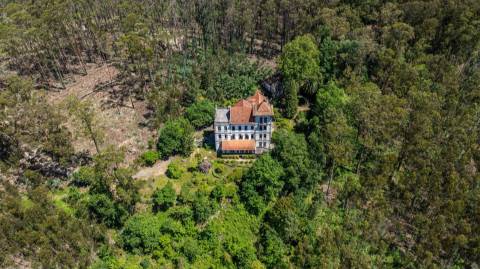 Quinta com Palacete e terreno de 50 ha em Seixoso - Felgueiras