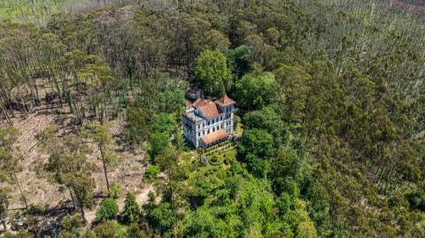 Quinta com Palacete e terreno de 50 ha em Seixoso - Felgueiras