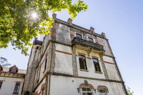 Quinta com Palacete e terreno de 50 ha em Seixoso - Felgueiras