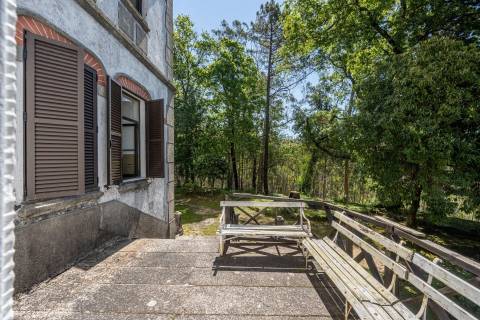 Quinta com Palacete e terreno de 50 ha em Seixoso - Felgueiras