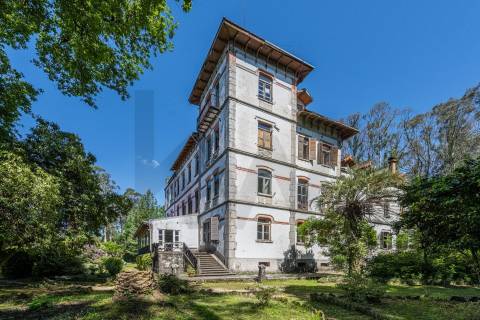 Quinta com Palacete e terreno de 50 ha em Seixoso - Felgueiras