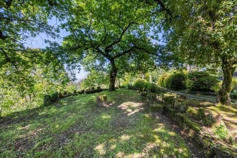 Quinta com Palacete e terreno de 50 ha em Seixoso - Felgueiras