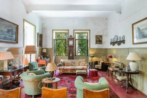 Quinta com Palacete e terreno de 50 ha em Seixoso - Felgueiras