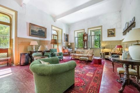 Quinta com Palacete e terreno de 50 ha em Seixoso - Felgueiras