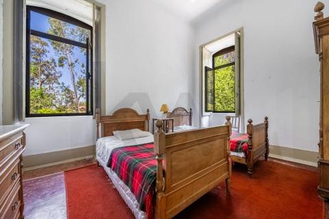 Quinta com Palacete e terreno de 50 ha em Seixoso - Felgueiras