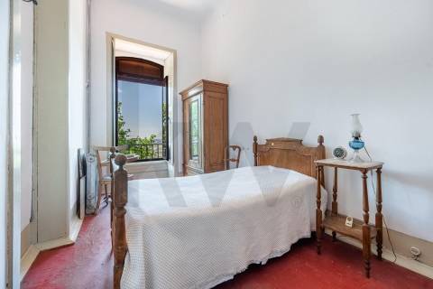 Quinta com Palacete e terreno de 50 ha em Seixoso - Felgueiras