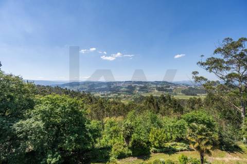 Quinta com Palacete e terreno de 50 ha em Seixoso - Felgueiras