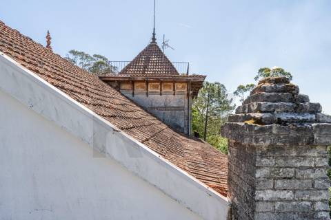Quinta com Palacete e terreno de 50 ha em Seixoso - Felgueiras