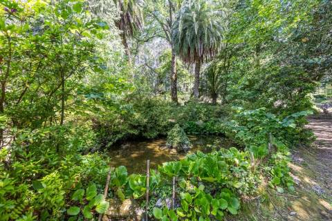 Quinta com Palacete e terreno de 50 ha em Seixoso - Felgueiras