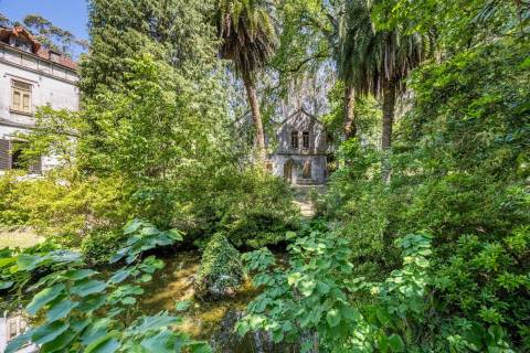 Quinta com Palacete e terreno de 50 ha em Seixoso - Felgueiras