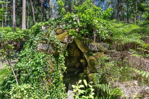 Quinta com Palacete e terreno de 50 ha em Seixoso - Felgueiras