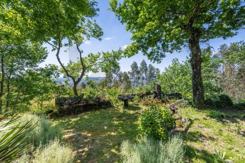 Quinta com Palacete e terreno de 50 ha em Seixoso - Felgueiras