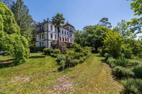 Quinta com Palacete e terreno de 50 ha em Seixoso - Felgueiras