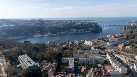 Apartamento T3 de Luxo no Coração da Zona Romântica do Porto - Ao Palácio Cristal