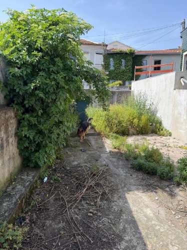 Moradia com vista panorâmica sobre o rio Douro – excelente oportunidade de investimento