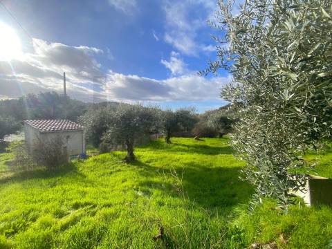 OPORTUNIDADE: Moradia + 2 Casas para Recuperar, Terreno e Vistas Únicas - Mata da Rainha 