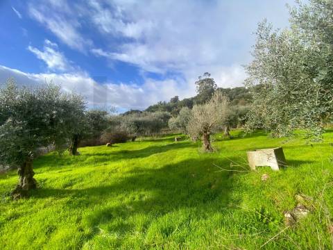 OPORTUNIDADE: Moradia + 2 Casas para Recuperar, Terreno e Vistas Únicas - Mata da Rainha 