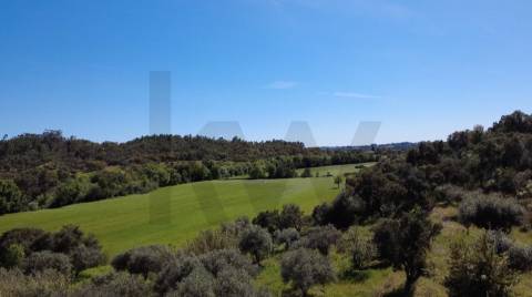 OPORTUNIDADE: Moradia + 2 Casas para Recuperar, Terreno e Vistas Únicas - Mata da Rainha 