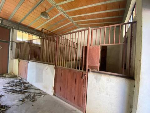 Moradia de Luxo T7 com Piscina Interior | Santo Tirso - Trofa