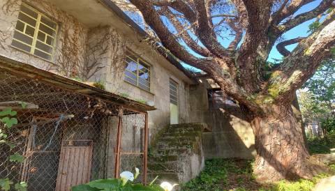 Armazém para Conversão em Moradia T2 – Vilar de Mouros